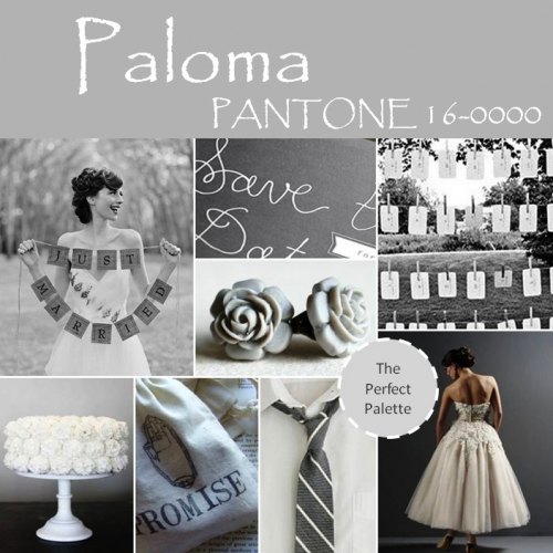 Paloma