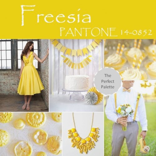 Pantone Freesia