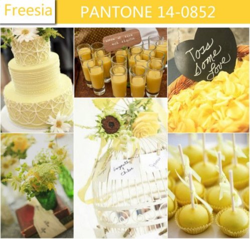 Pantone Freesia