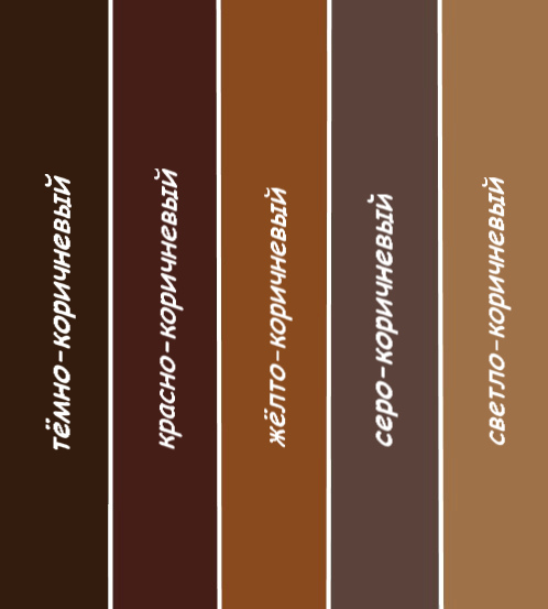 Сочетание коричневого цвета в одежде - советы по комбинации коричневого сдругими цветами