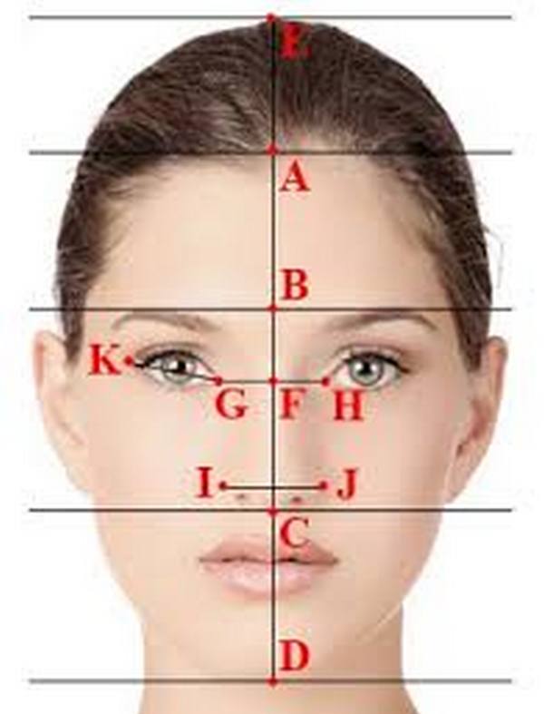 Замер какое лицо. Идеальное лицо. Форма лица пропорции. Идеальные пропорции лица. Идеальное лицо по пропорциям.