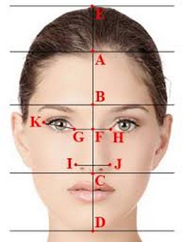 Взаимное расположение бровей и зрачков глаз – важные параметры при определении пропорциональной формы лица