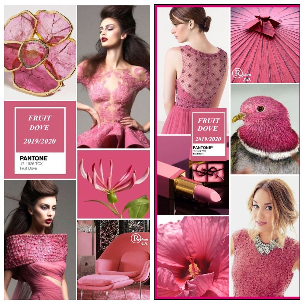 Fruit Dove â ÑÑÐ¾Ñ Ð¾ÑÑенок полÑÑил ÑÐ²Ð¾Ñ Ð½Ð°Ð·Ð²Ð°Ð½Ð¸Ðµ благодаÑÑ Ð¿Ð¾Ñоде голÑбей