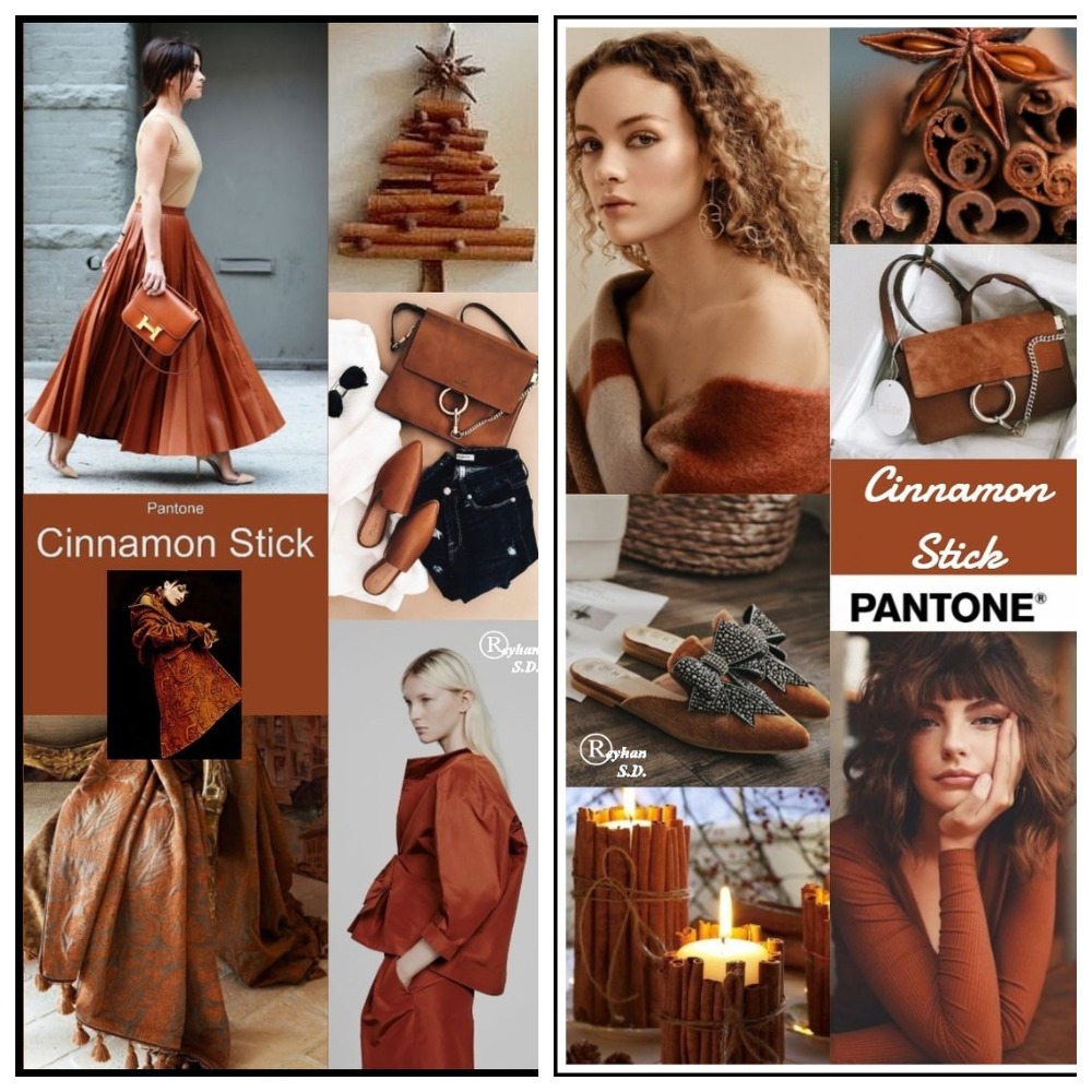 PANTONE 18-1345 Cinnamon Stick (Палочка корицы)