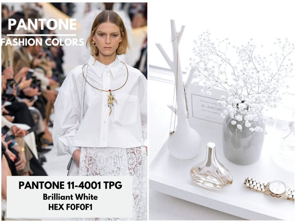 Pantone 11-4001 Brilliant White «Бриллиантовый белый»